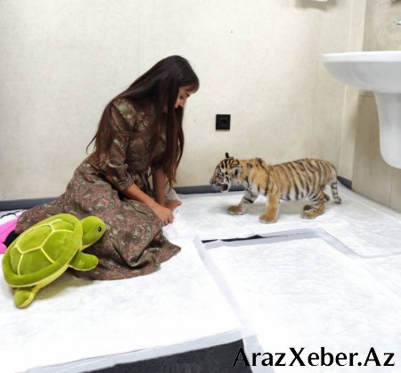 Leyla Əliyeva Bakı Zooloji Parkında oldu - FOTOLAR