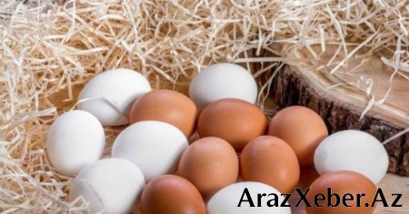 Hər gün yumurta yeyənlərə XƏBƏRDARLIQ
