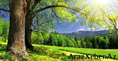Avqustun 23-dək rayonlarda hava yağmursuz keçəcək