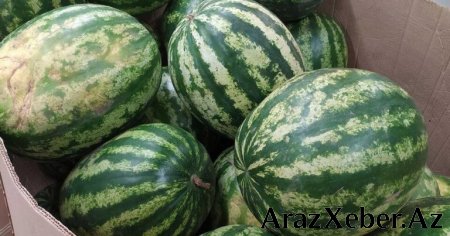 Gün ərzində nə qədər qarpız yemək olar? - Dietoloq AÇIQLADI