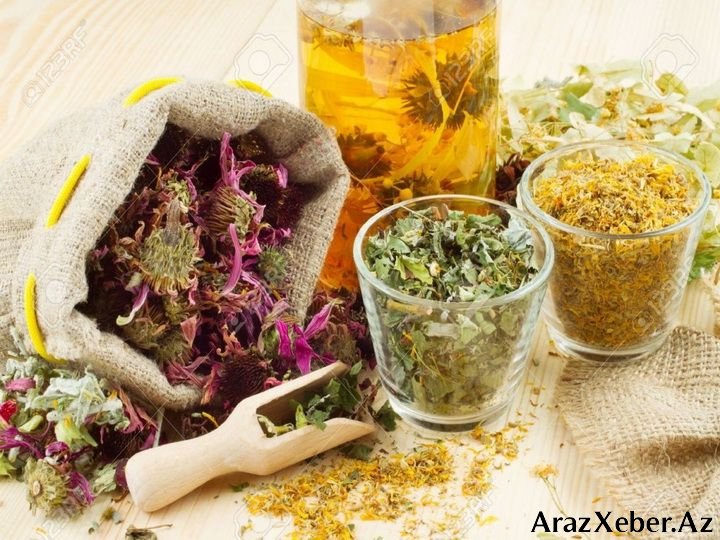 Çoxlarının xəbərdar olmadığı MÖCÜZƏVİ BİTKİ- 50 dərdə dərman
