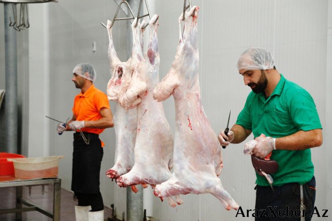 Qurbanda ət payını başqa nə ilə əvəz etmək olar? - İlahiyyatçı cavab verir