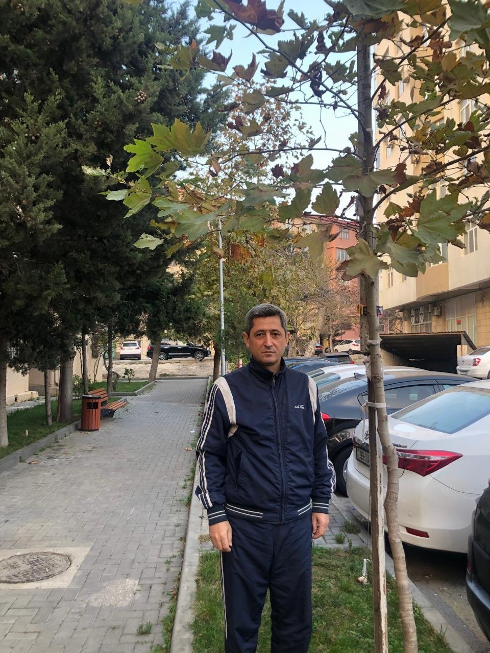 Baş redaktor çinar və şam ağaclarından ibarət olmaqla 30 ağac əkib