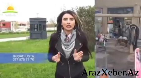 Usta Rəşad – Jurnalist Aybənizin tövsiyə etdiyi peşəkar təmir xidməti